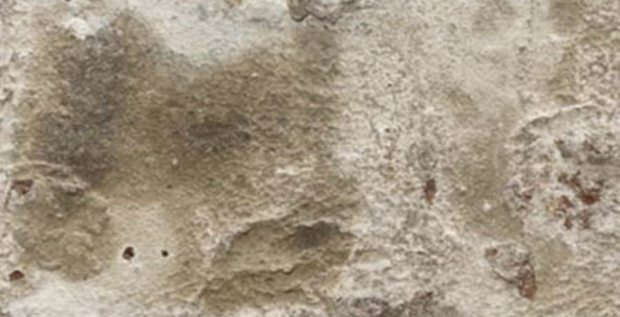 Frasier Canyon brick swatch