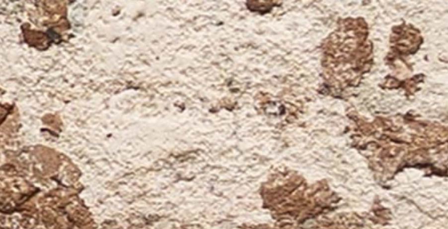 Saddletown brick swatch