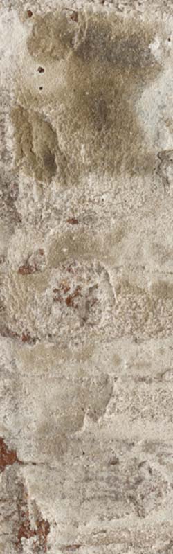 Fraiser Canyon brick swatch