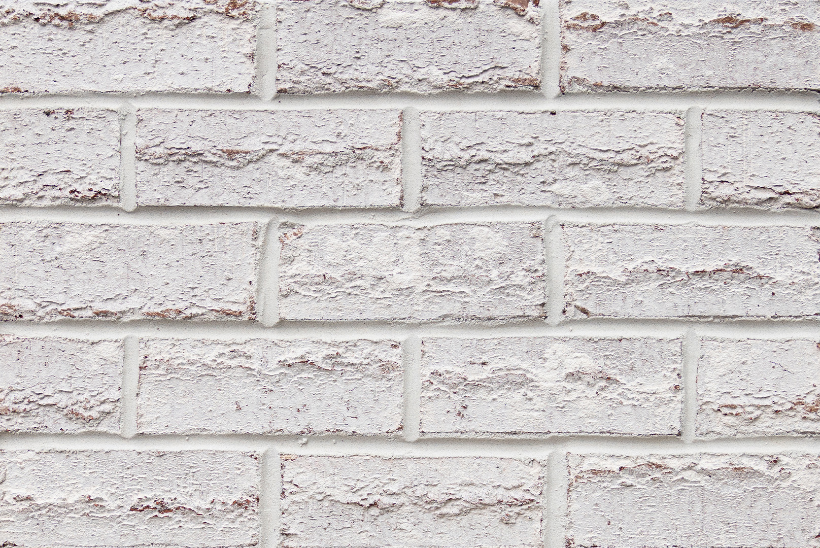 WhiteRoseRidge-WebSwatch-1-07.02.2026