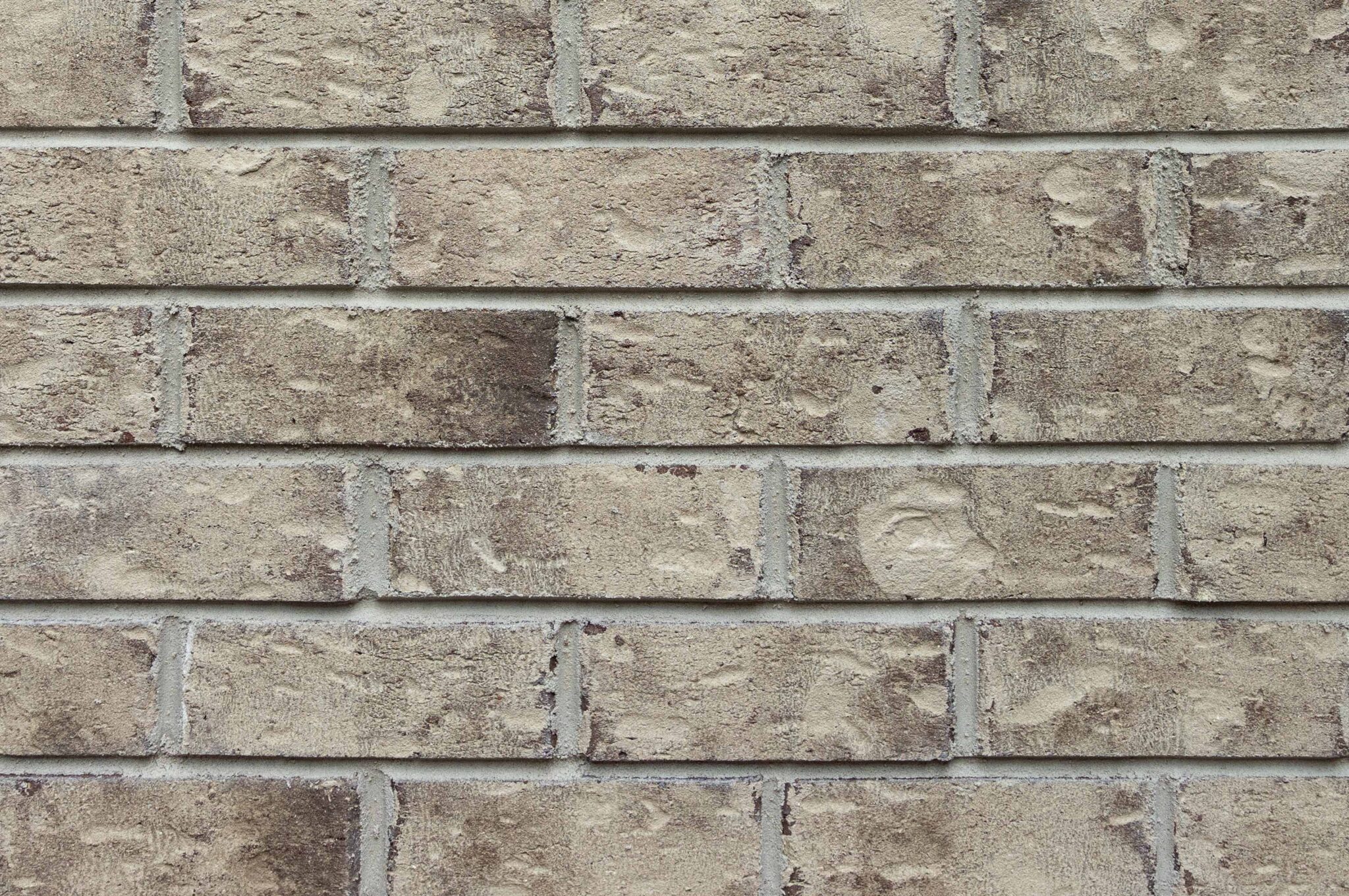 New_LaCava-Web-2